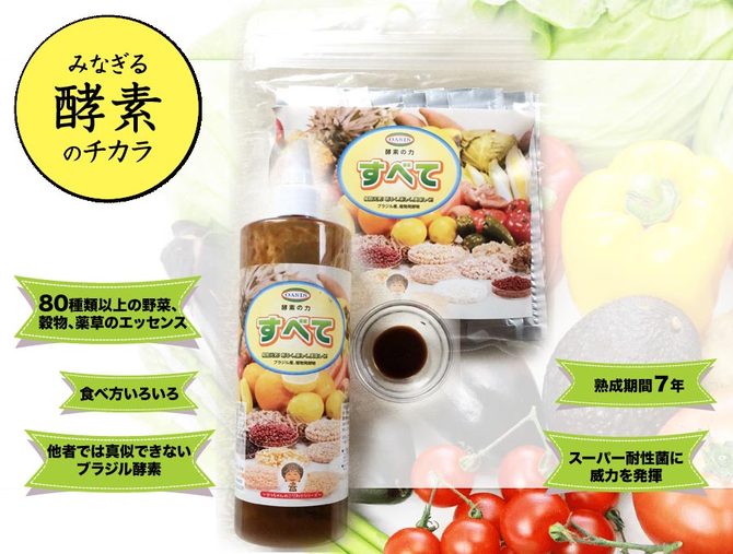 酵素すべて 酵素すべて